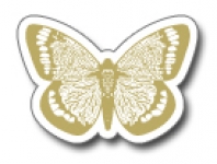 Geschenketiketten E-435a Schmetterling weiß, Prägung gold